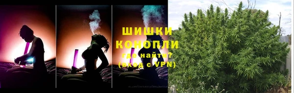 спиды Аркадак