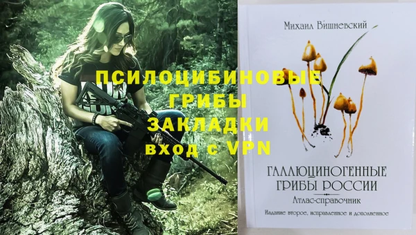 спиды Аркадак